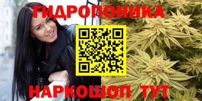 прущий лед Кандалакша