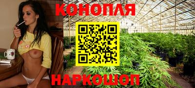 2c-b Камышлов