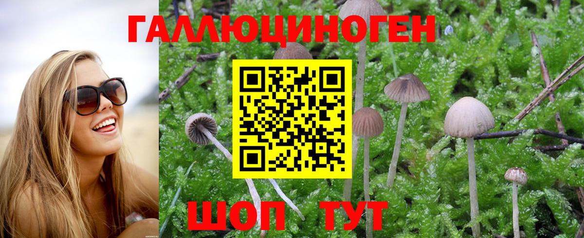Галлюциногенные грибы Magic Shrooms  Вход с VPN  Кушва 